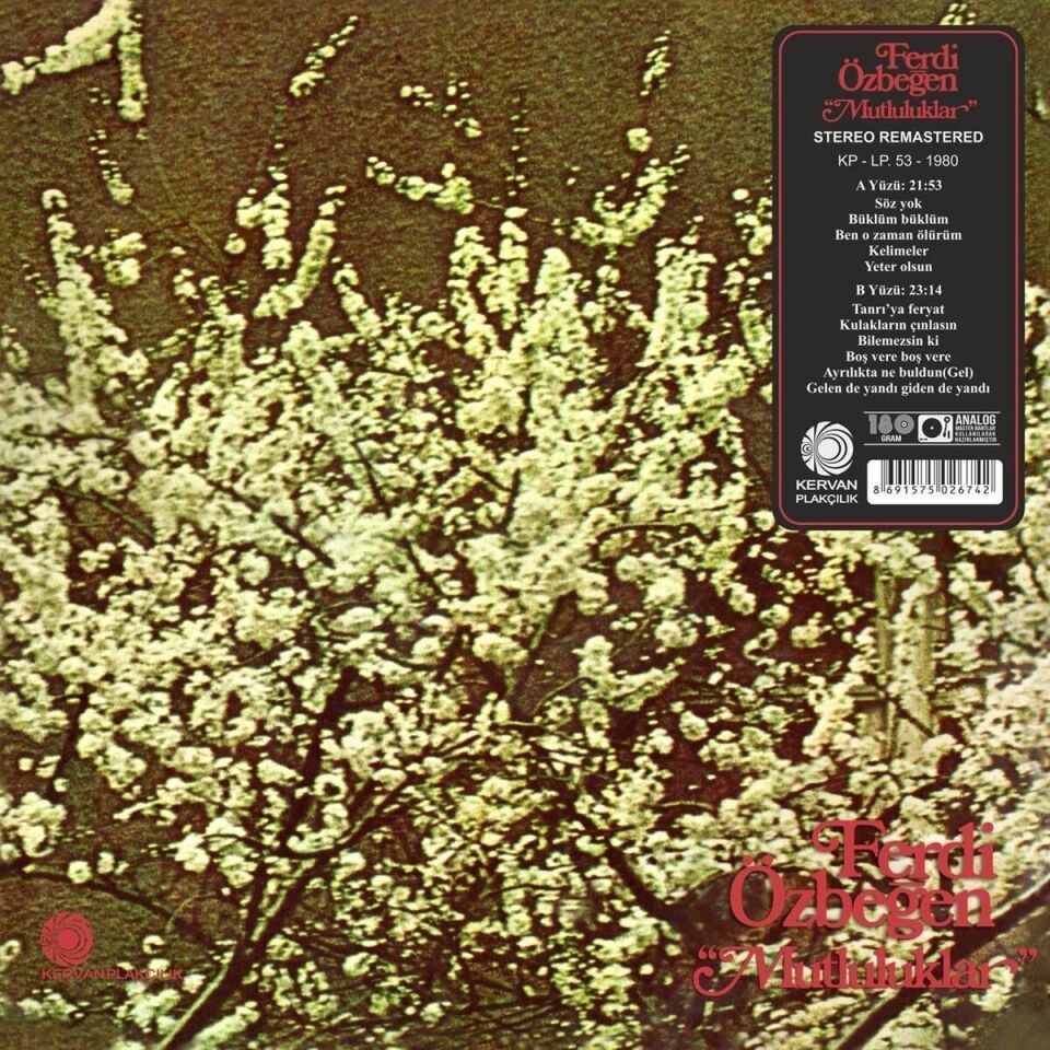 Ferdi Özbeğen - Mutluluklar Plak