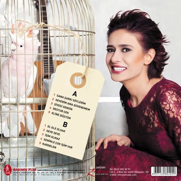 Yıldız Tilbe - Şivesi Sensin Aşkın Plak