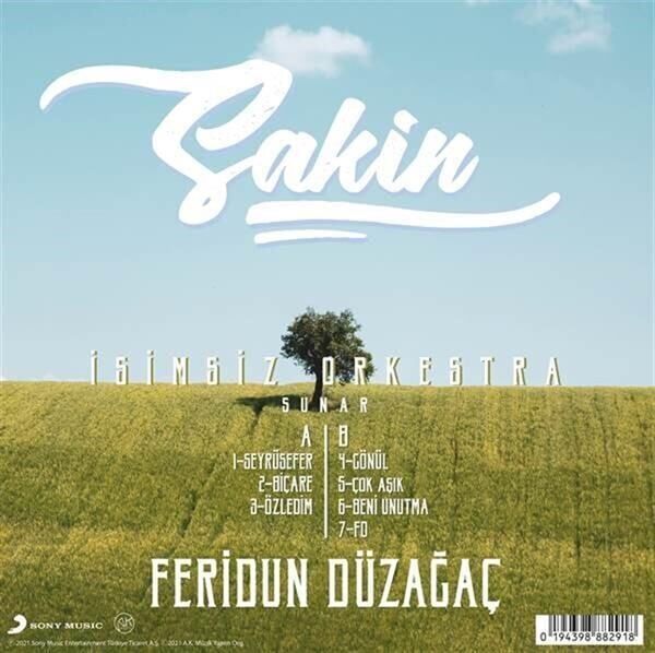 Feridun Düzağaç - Sakin Plak