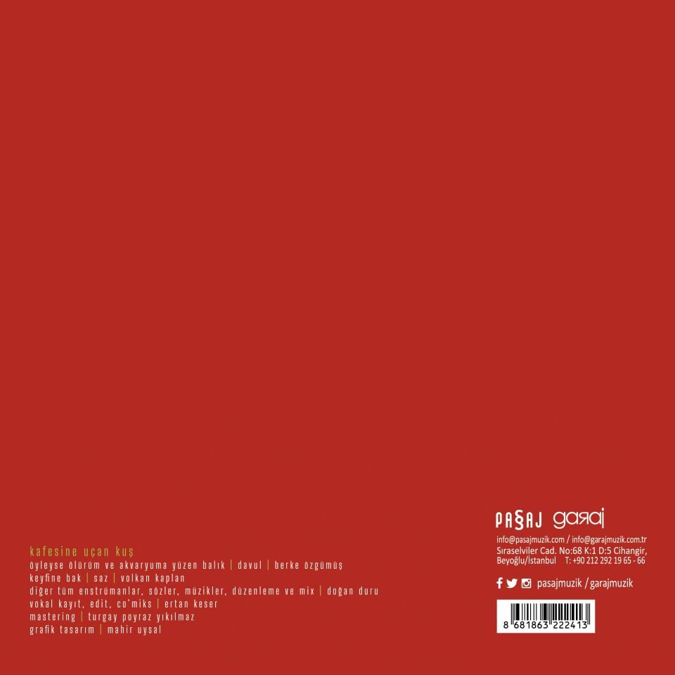 Doğan Duru - Kafesine Uçan Kuş Plak