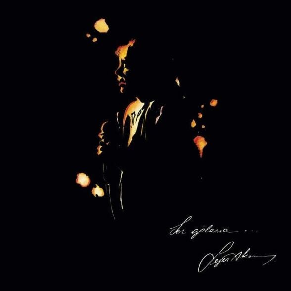 Sezen Aksu - Sen Ağlama Plak