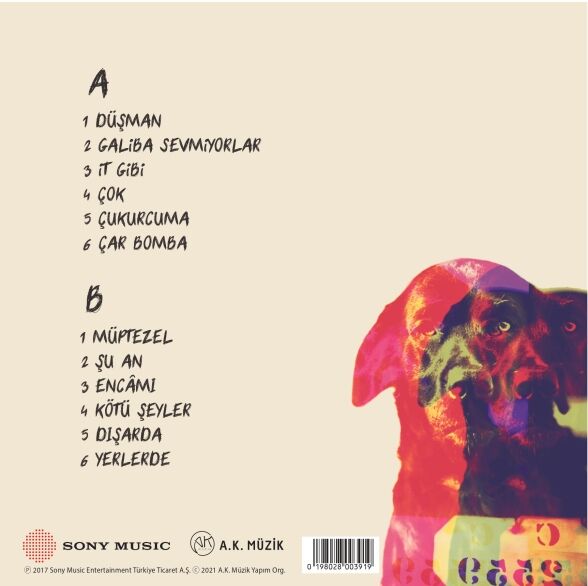 Son Feci Bisiklet - Kötü Şeyler Plak