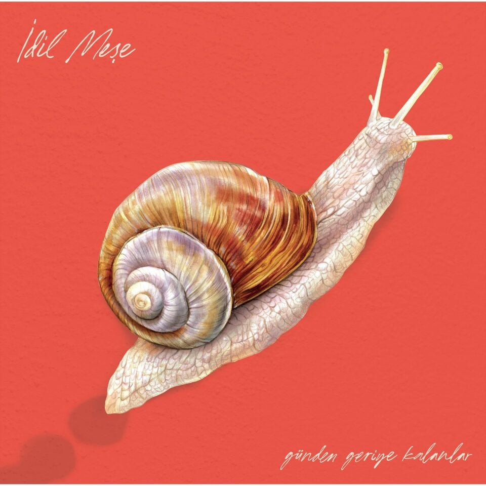 İdil Meşe - Günden Geriye Kalanlar Plak