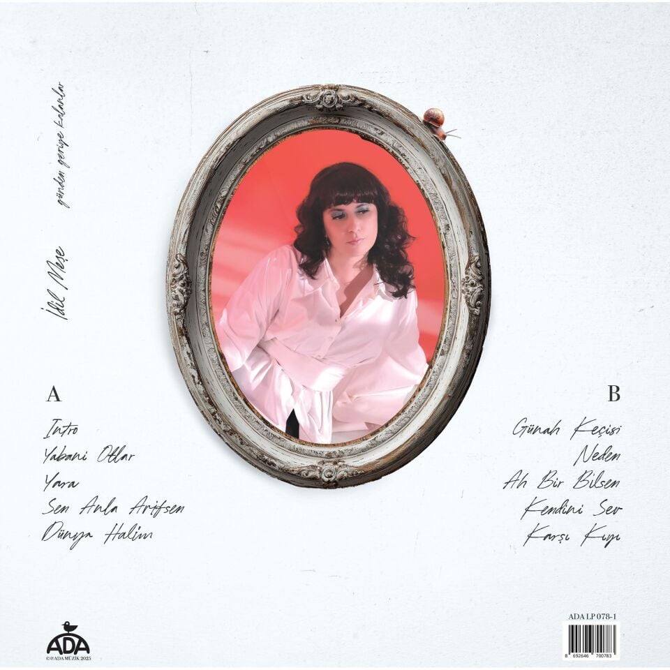 İdil Meşe - Günden Geriye Kalanlar Plak