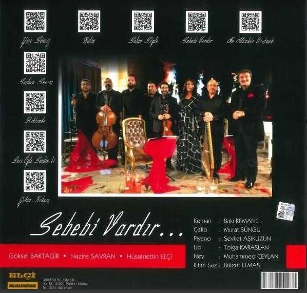 -Sebebi Vardır - Göksel Baktagir, Nazire Savran, Hüsamettin Elçi Plak
