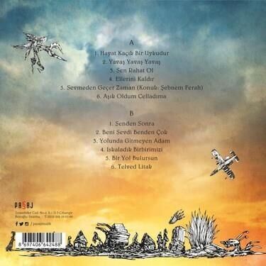 -Redd - Hayat Kaçık Bir Uykudur (Plak)