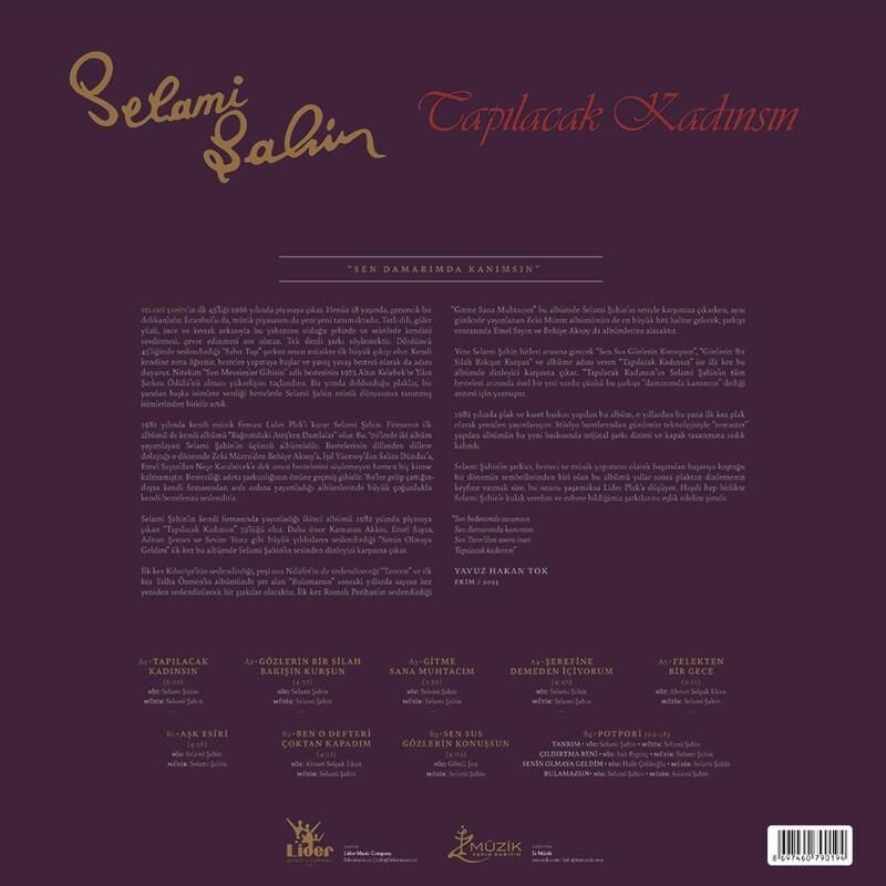 Selami Şahin - Tapılacak Kadınsın Plak