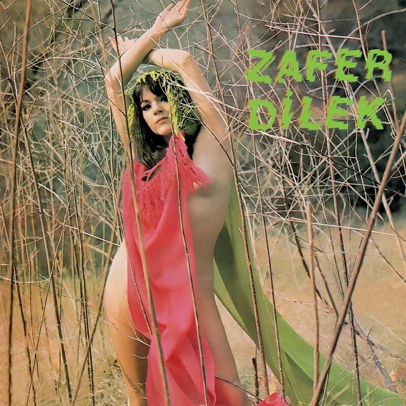 Zafer Dilek - Oyun Havaları Plak