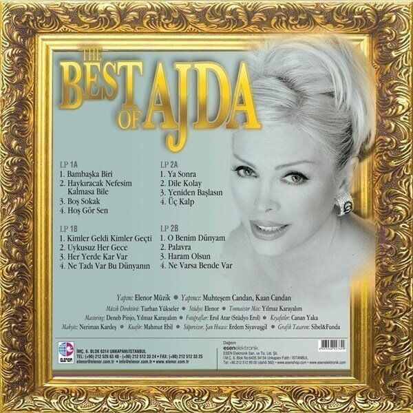 Ajda Pekkan - The Best Of Renkli 2'li Plak