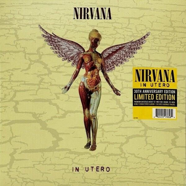 Nirvana – In Utero 2'li Plak (2023, 30th Anniversary)