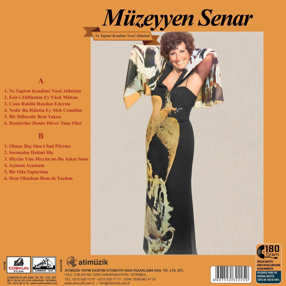 Müzeyyen Senar - Ne Yaptım Kendimi Nasıl Aldattım 33'lük Plak