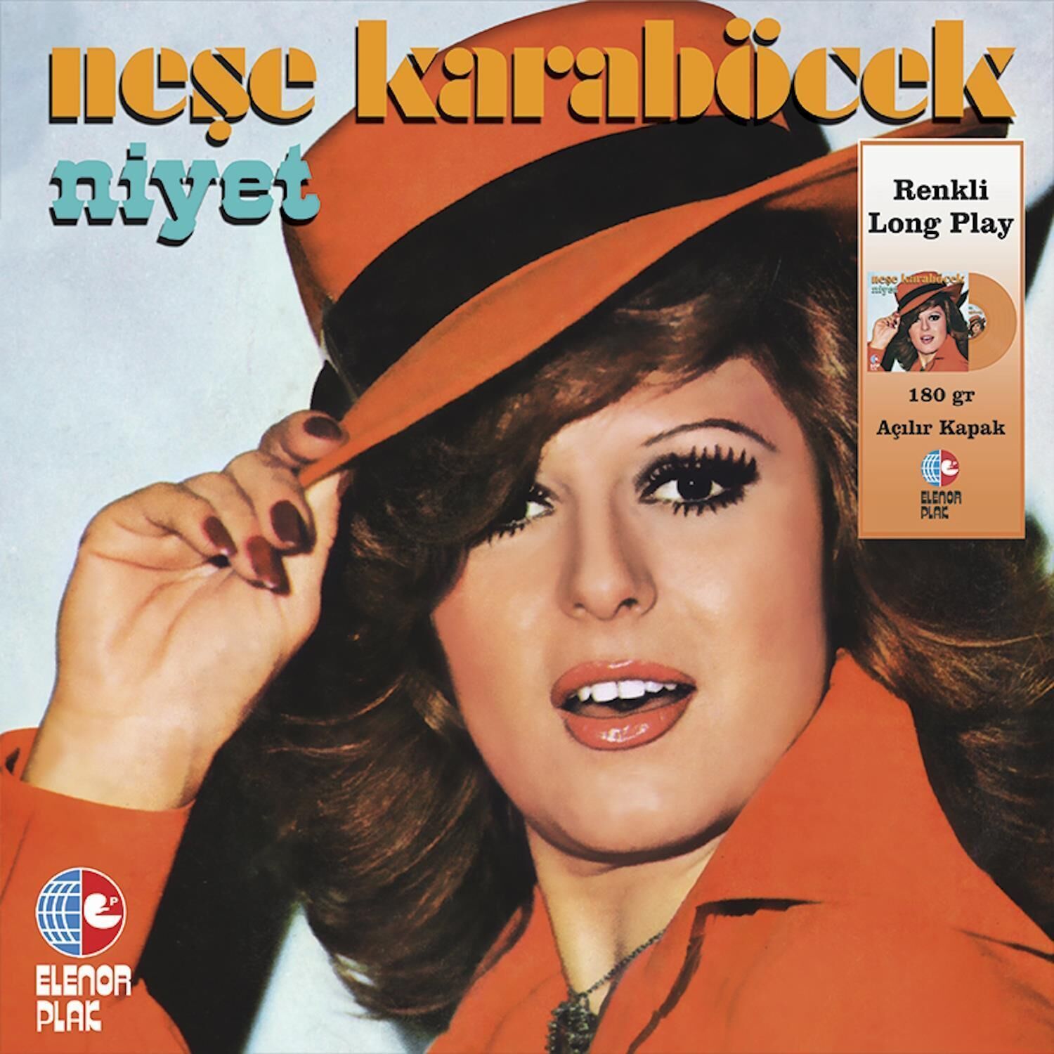 Neşe Karaböcek - Niyet Renkli Plak