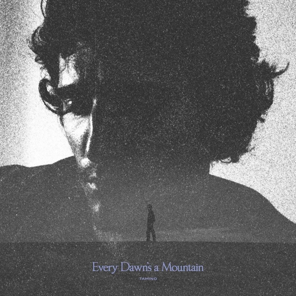 Tamino - Every Dawn's A Mountain Black Silver Plak