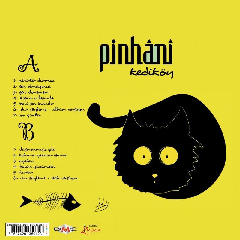 Pinhani - Kediköy Renkli Plak