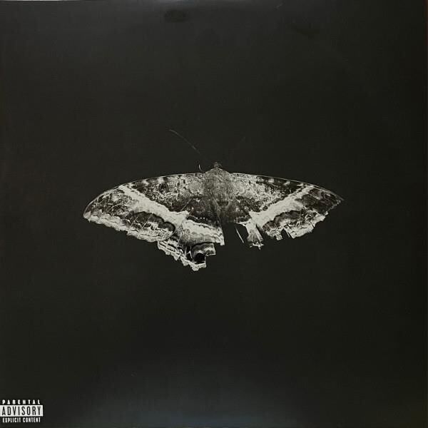 Kendrick Lamar - To Pimp A Butterfly 2'li Plak