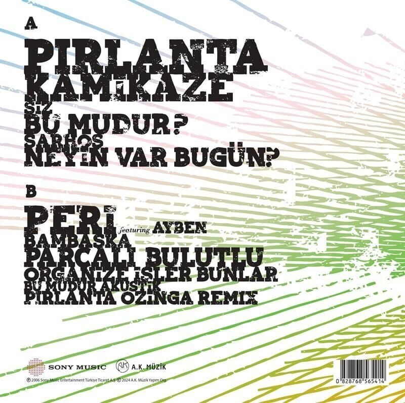 Nil Karaibrahimgil - Tek Taşımı Kendim Aldım Plak