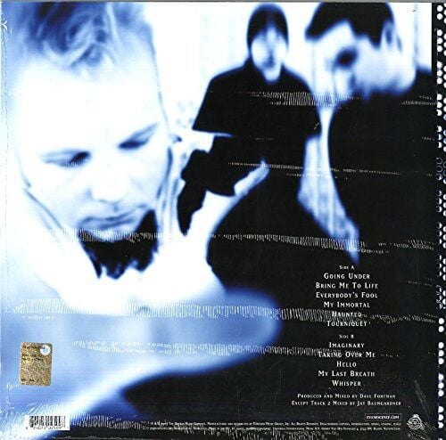 Evanescence - Fallen Plak