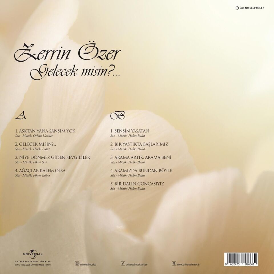 Zerrin Özer - Gelecek Misin Plak