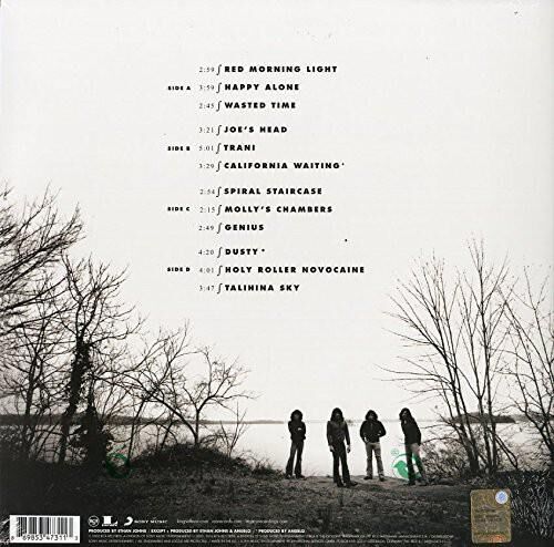 Kings Of Leon - Youth And Young Manhood [2 LP]