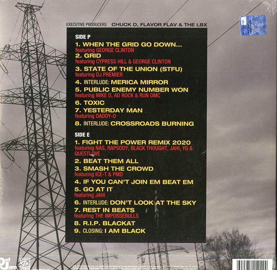 Public Enemy - What You Gonna Do When The Grid Goes Down Plak