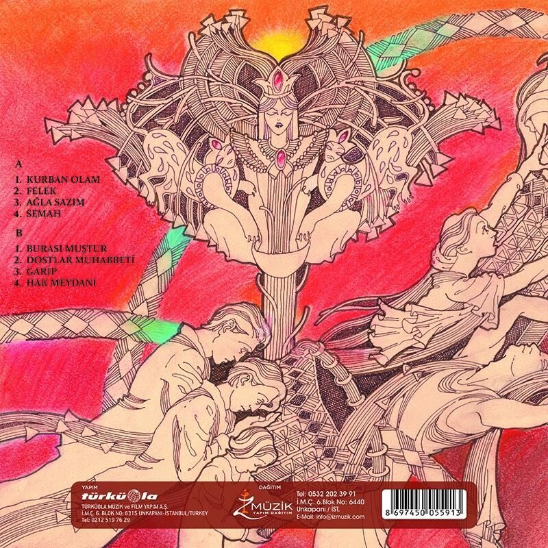 Neşet Ertaş - Türküler Ve Deyişler Resimli  Plak