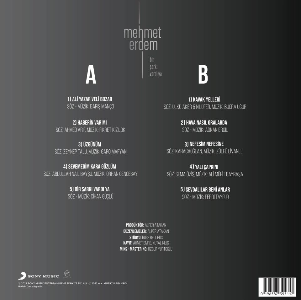 Mehmet Erdem - Bir Şarkı Vardı Ya Plak