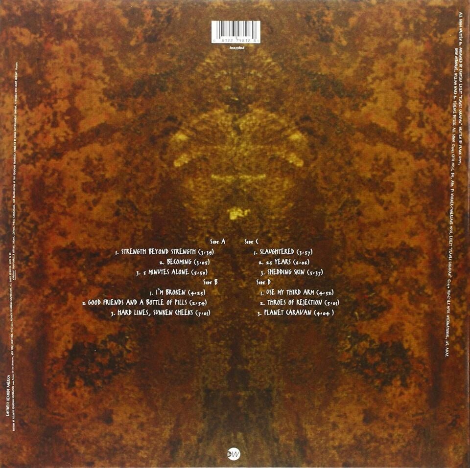 Pantera – Far Beyond Driven 2'li Plak