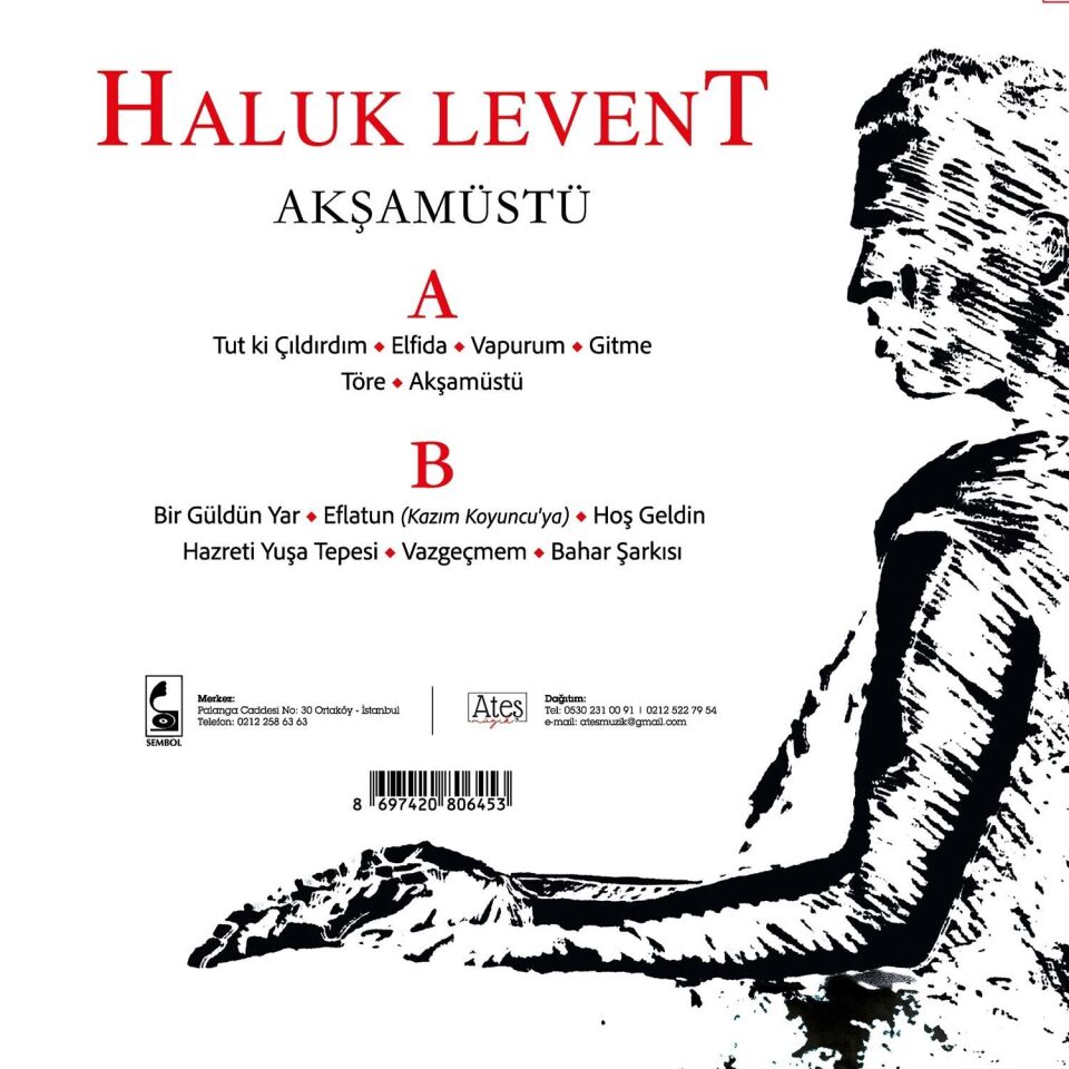 Haluk Levent - Akşamüstü Plak