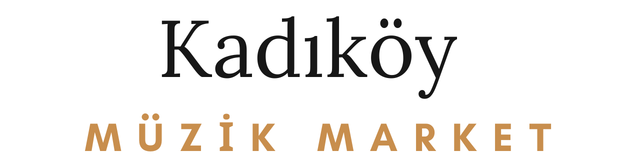 Murat Göğebakan - Yaralı 33'lük Plak / Yerli Plak Satın Al 